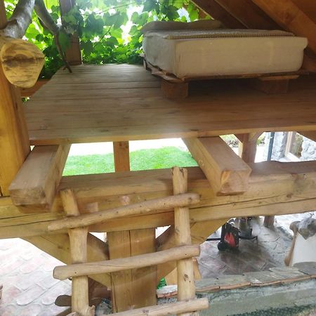 Natur Apartma Rudi Бегунье на Горенскем Екстериор снимка