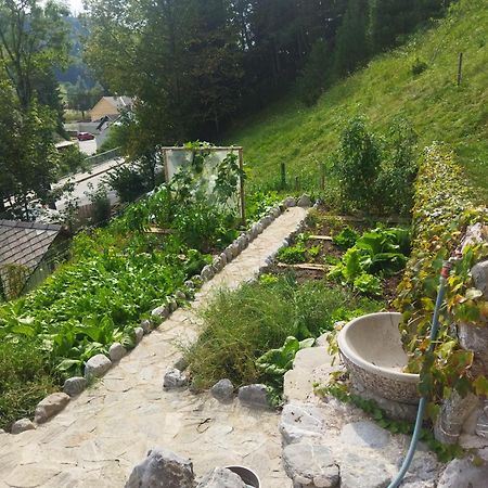 Natur Apartma Rudi Бегунье на Горенскем Екстериор снимка