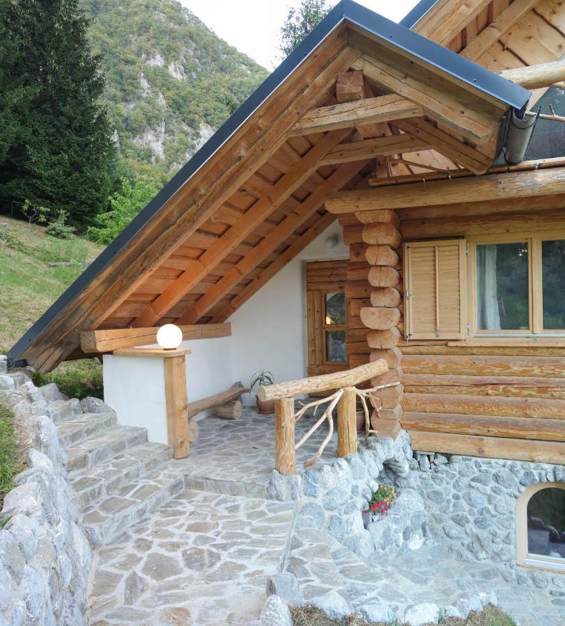 Natur Apartma Rudi Бегунье на Горенскем Екстериор снимка