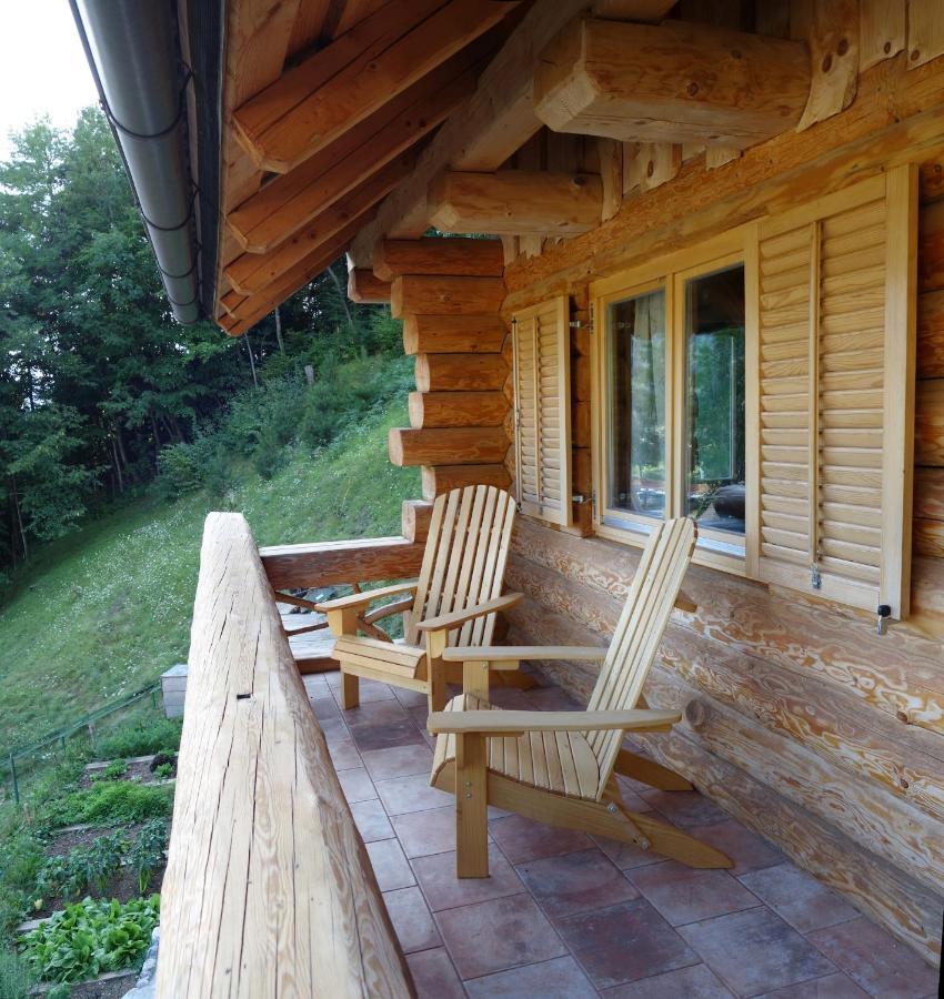 Natur Apartma Rudi Бегунье на Горенскем Екстериор снимка