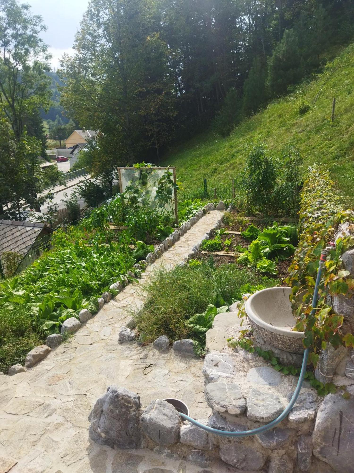 Natur Apartma Rudi Бегунье на Горенскем Екстериор снимка